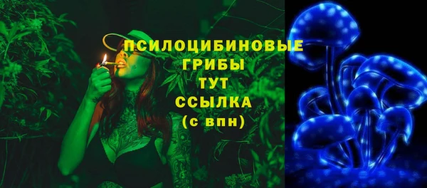 ECSTASY Покровск