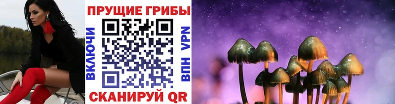 как найти   Учалы  Галлюциногенные грибы MAGIC MUSHROOMS 