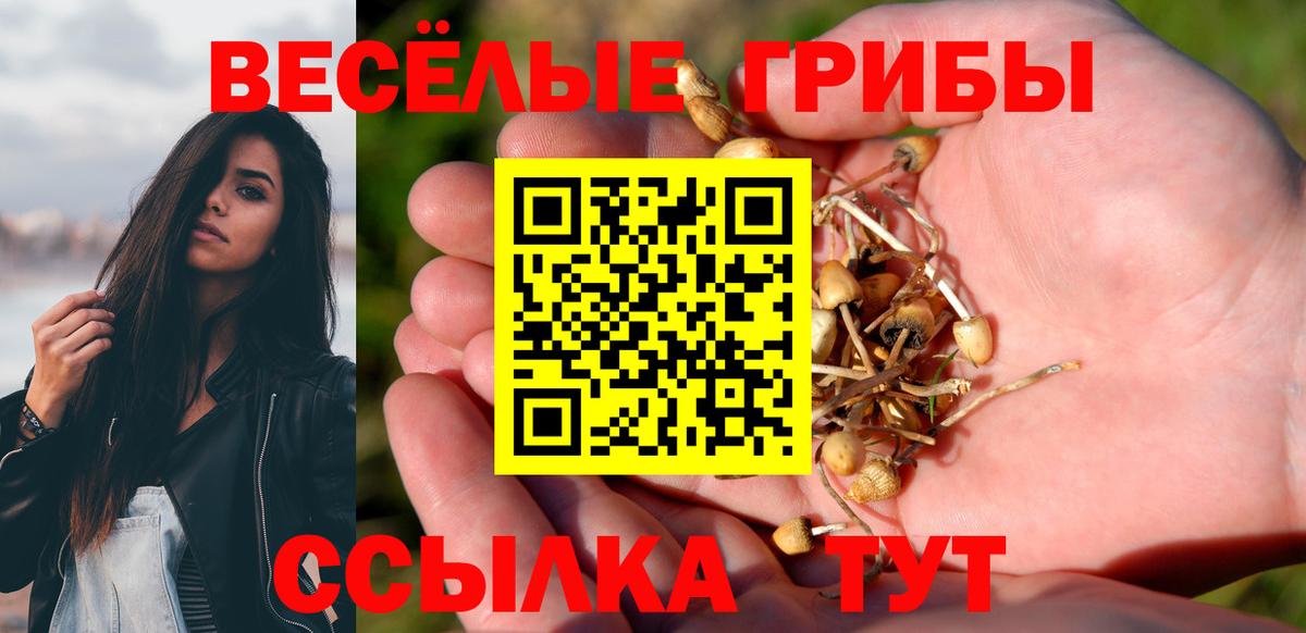 Галлюциногенные грибы Psilocybe Учалы