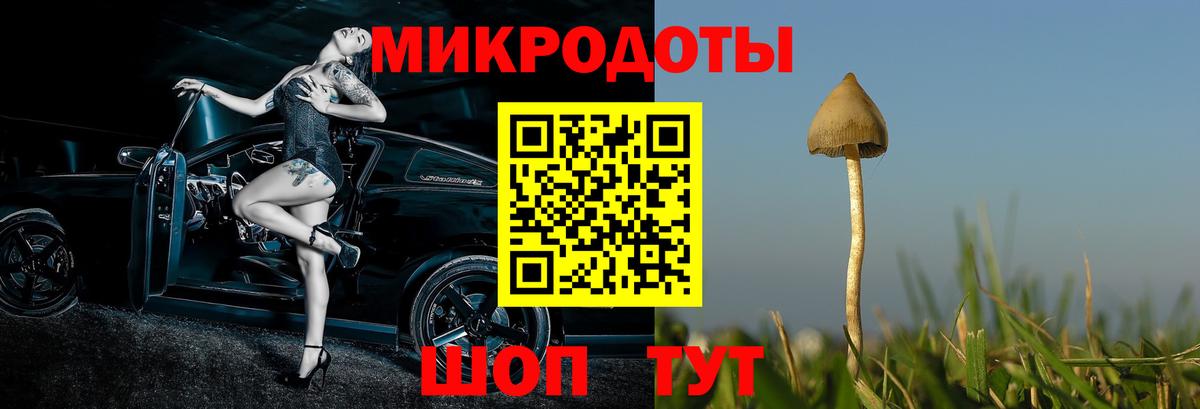 Галлюциногенные грибы MAGIC MUSHROOMS  Галлюциногенные грибы Magic Shrooms  Вход с VPN  Учалы 